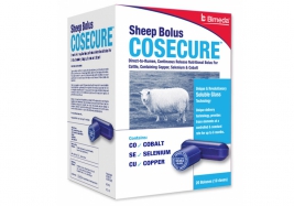 COSECURE SHEEP